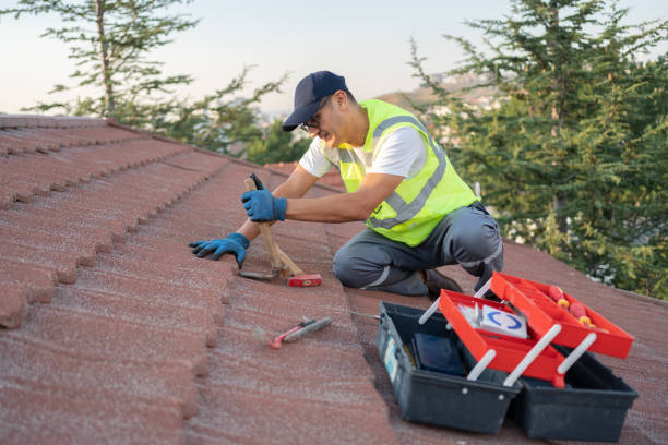 Best Metal Roofing Contractor  in Evansville, WY